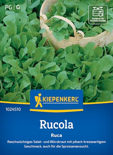 kiepenkerl-rucolasamen-ruca-1024510-salatrauke-kr-utersaat image 7