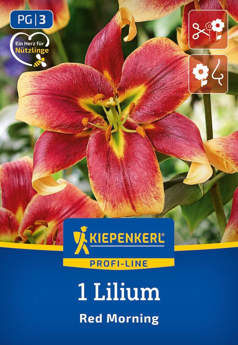 profi-line-baum-lilie-red-morning-3500010-blumenzwiebeln-rot-150-cm image 1