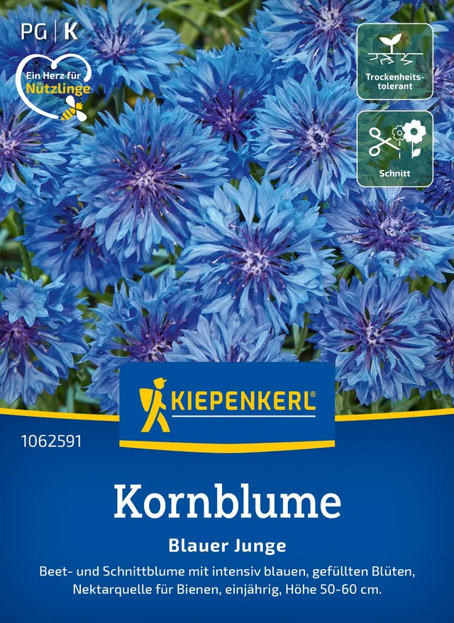 kiepenkerl-blauer-junge-kornblumen-blumensamen image 1