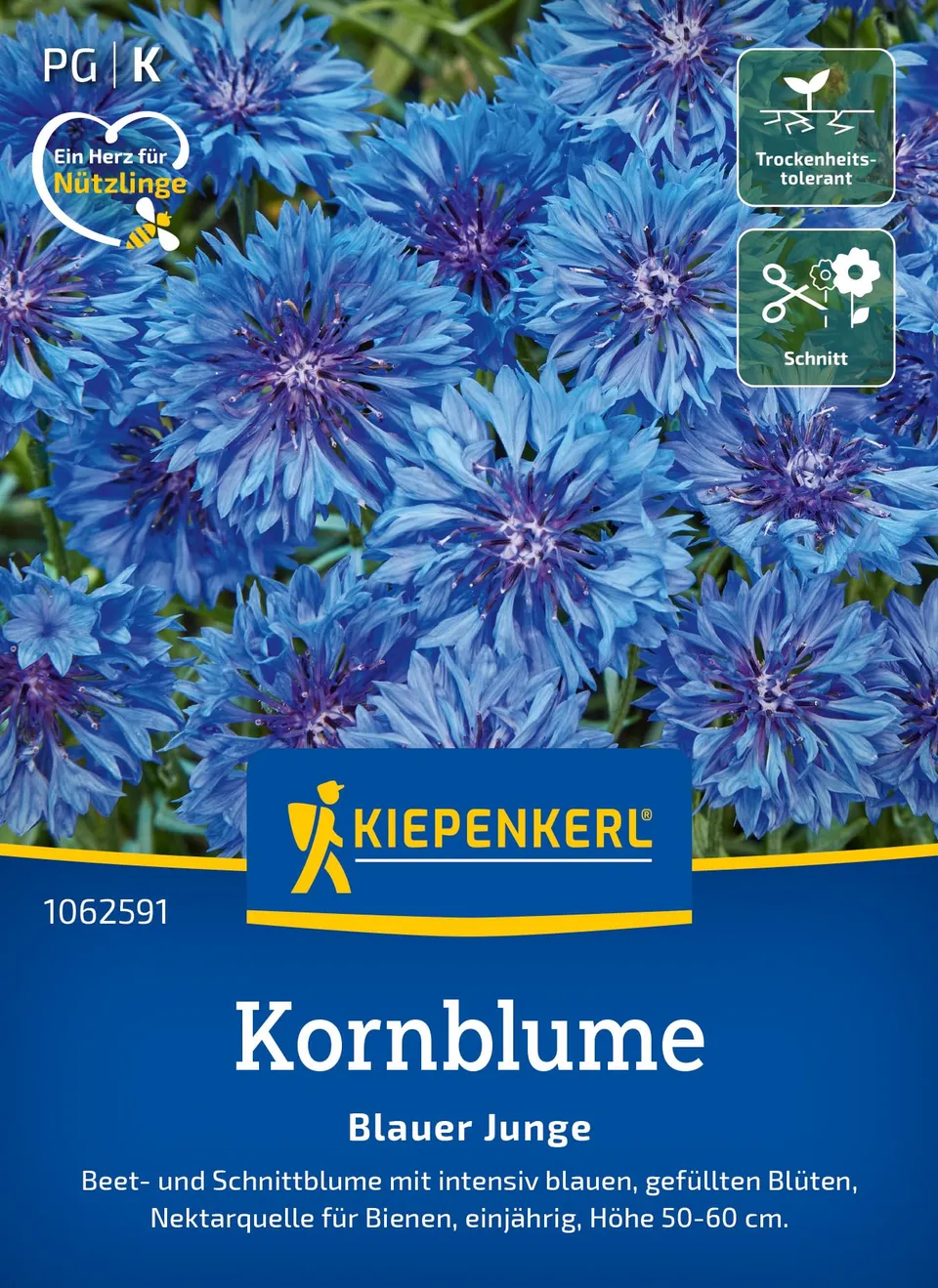 kiepenkerl-blauer-junge-kornblumen-blumensamen image 1