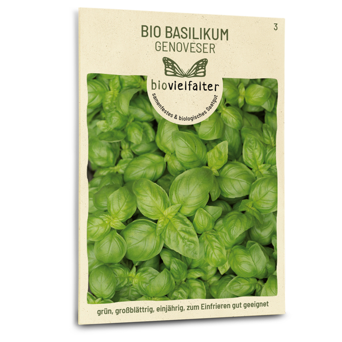 samen-maier-bio-basilikum-genoveser-saatgut image 1