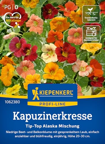 kiepenkerl-kapuzinerkresse-tip-top-alaska-mischung-blumensamen image 6