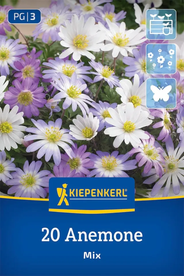 kiepenkerl-balkan-windr-schen-mischung-2775008-blumenzwiebeln-anemone-blanda-10- image 1