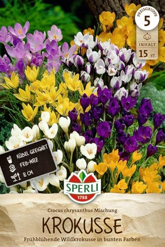 sperli-wildkrokus-botanische-mischung-blumenzwiebeln-wei-gelb-violett-10-cm image 7