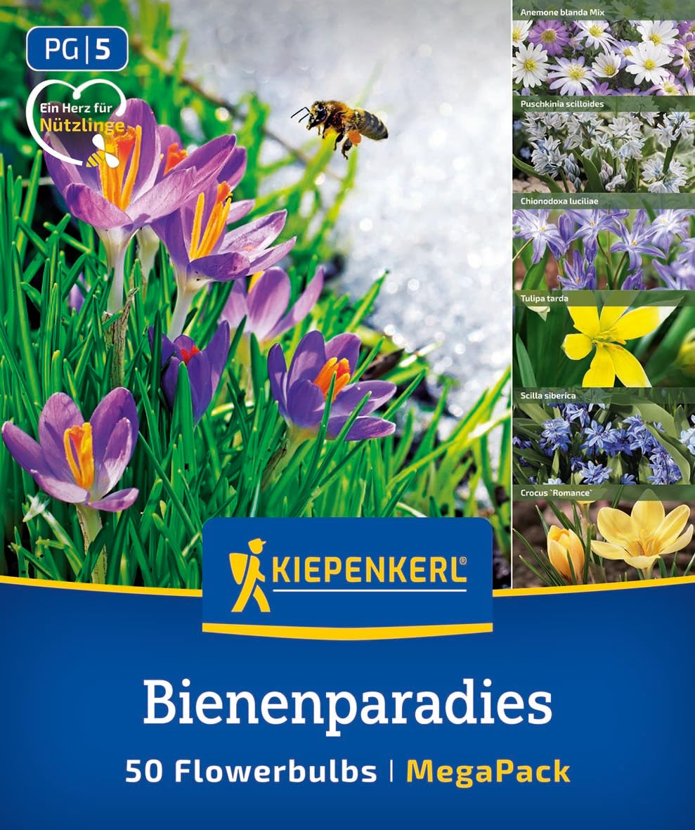 kiepenkerl-mega-pack-bienenparadies-50-blumenzwiebeln-fr-hlingsbl-her-mix image 1