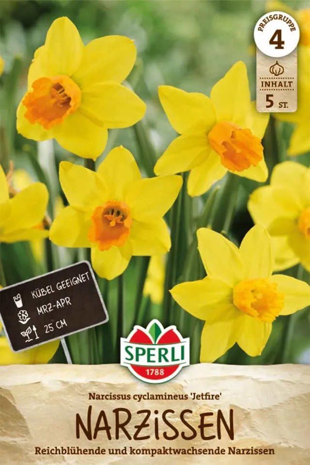 sperli-botanische-narzisse-jetfire-blumenzwiebeln-gelb-mit-orangeroter-trompete image 1