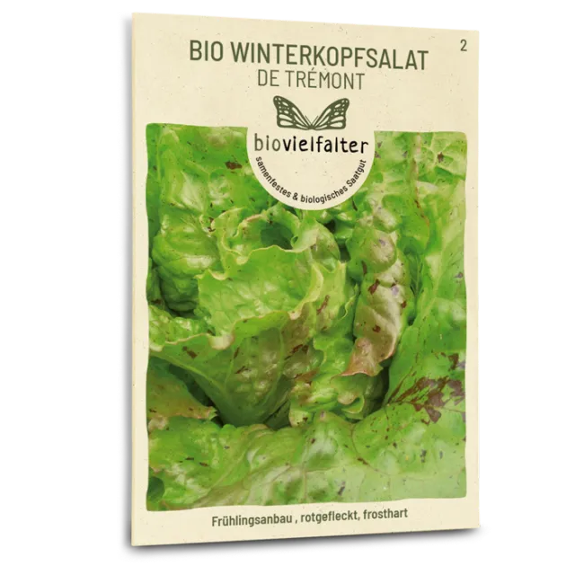 samen-maier-bio-winterkopfsalat-de-tr-mont-salat-saatgut image 1