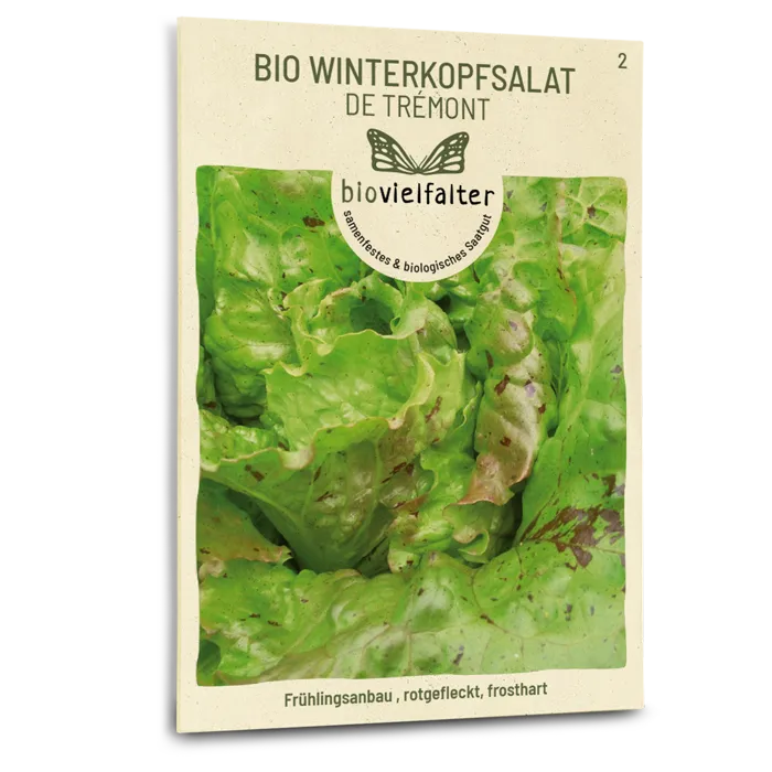 samen-maier-bio-winterkopfsalat-de-tr-mont-salat-saatgut image 1