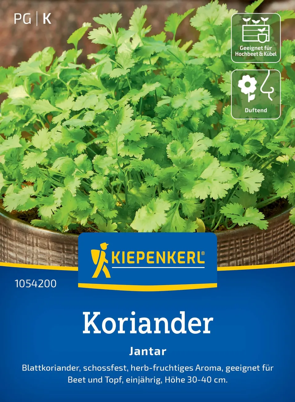 kiepenkerl-koriander-jantar-1054200-kr-utersamen image 1