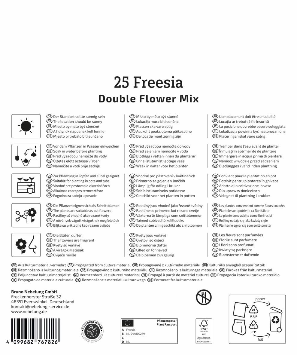 kiepenkerl-mega-pack-freesien-mischung-3825001-gef-llte-duftende-freesien-juni-o image 2