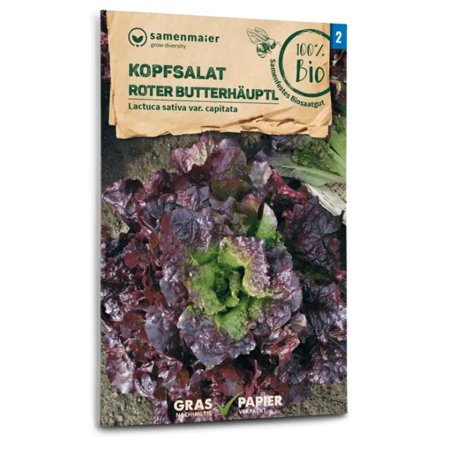 samen-maier-bio-kopfsalat-roter-butterh-uptl-saatgut image 1