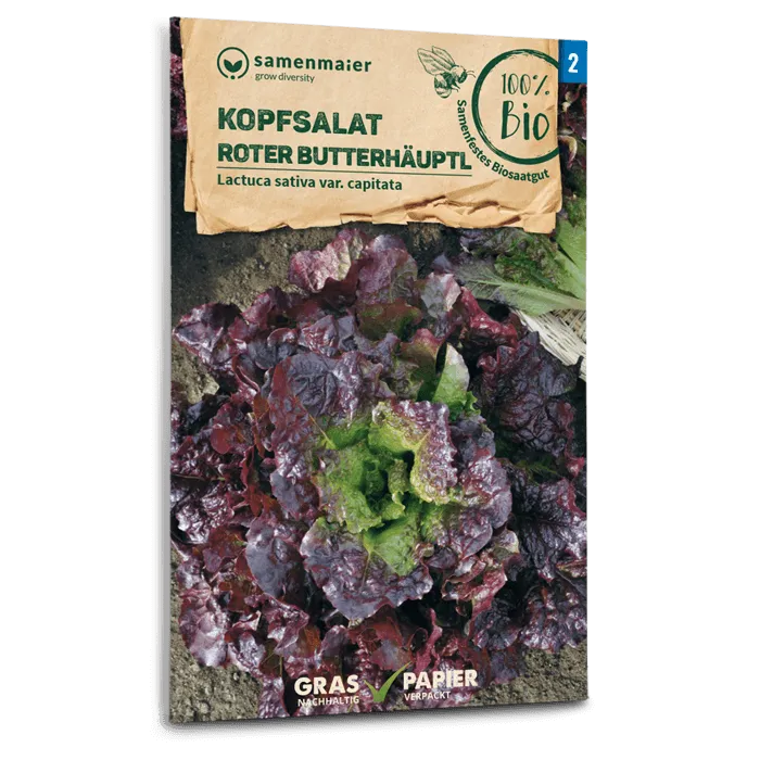 samen-maier-bio-kopfsalat-roter-butterh-uptl-saatgut image 1