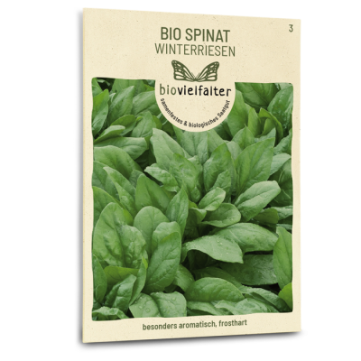 samen-maier-bio-spinat-winterriesen-herbstspinat-samen image 3