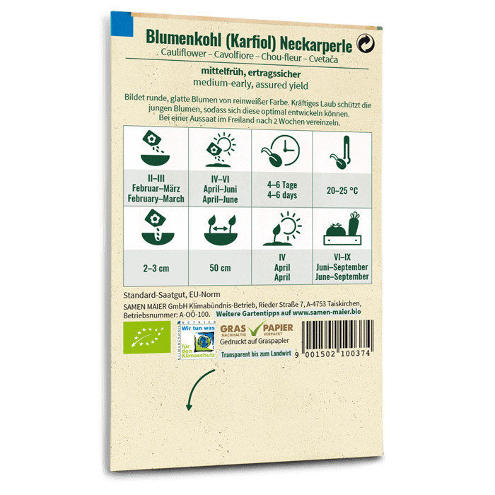 samen-maier-bio-blumenkohl-neckarperle-karfiol-gem-sesamen image 2