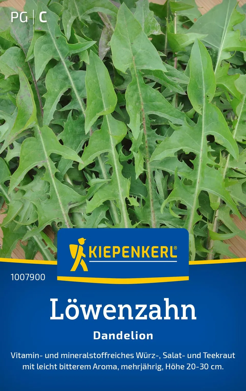 kiepenkerl-l-wenzahn-dandelion-gem-sesaatgut-kr-utersaat image 1