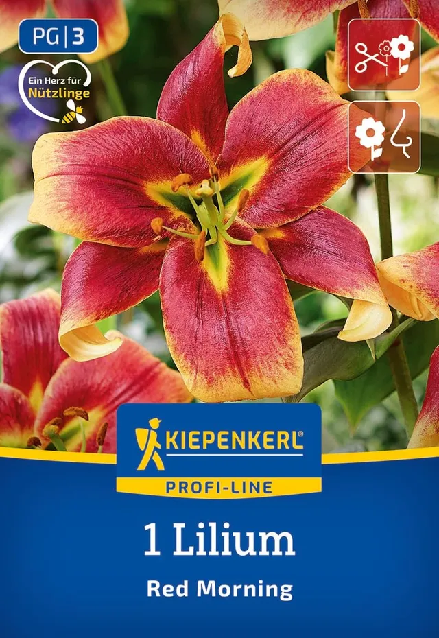 profi-line-baum-lilie-red-morning-3500010-blumenzwiebeln-rot-150-cm image 1