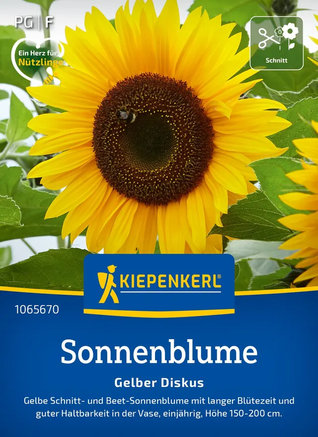 kiepenkerl-sonnenblumensamen-gelber-diskus-blumensaat image 1