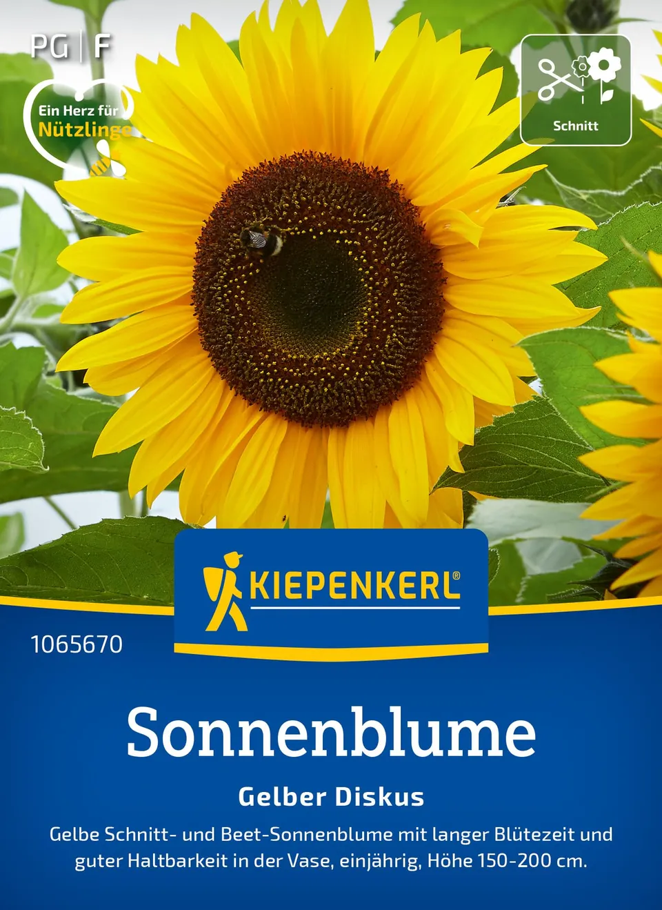 kiepenkerl-sonnenblumensamen-gelber-diskus-blumensaat image 1