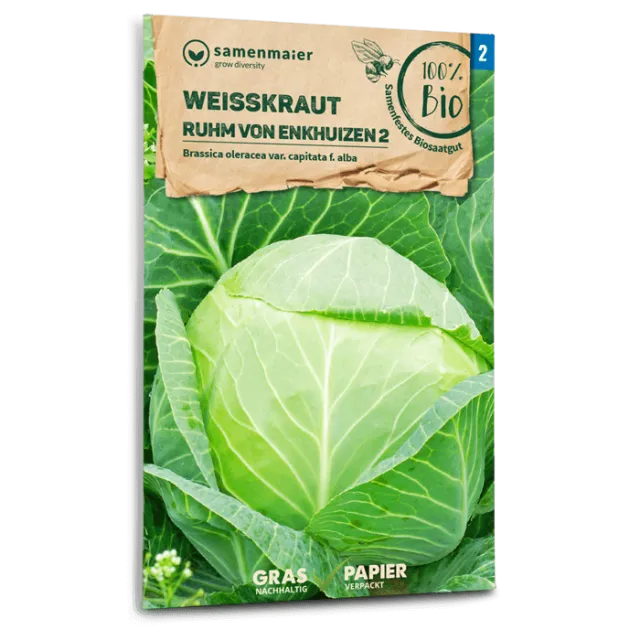 samen-maier-bio-wei-kraut-ruhm-von-enkhuizen-2-krautsamen image 1