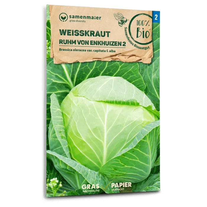 samen-maier-bio-wei-kraut-ruhm-von-enkhuizen-2-krautsamen image 1