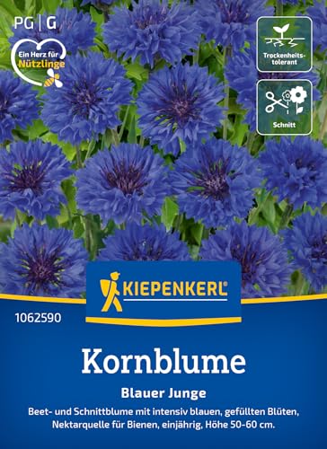 kiepenkerl-kornblumensamen-blauer-junge-1062590-blumensamen-f-r-80-pflanzen image 7
