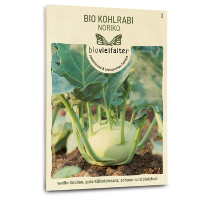 samen-maier-bio-kohlrabi-noriko-saatgut-fr-he-sorte image 3
