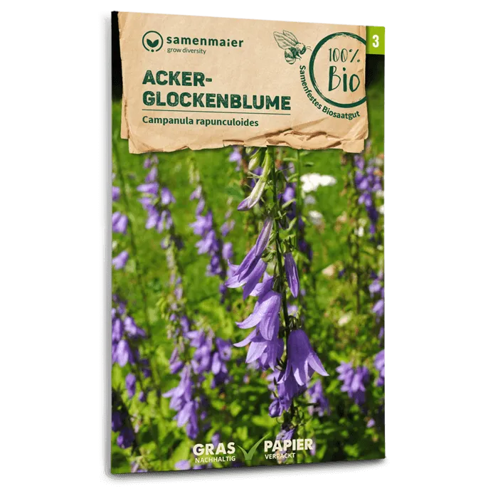 samen-maier-bio-wildblumen-acker-glockenblume-saatgut image 1