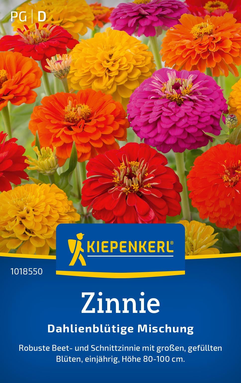 kiepenkerl-strandfliedersamen-statice-mischung-1017900-einj-hrige-blumensamen-f- image 8
