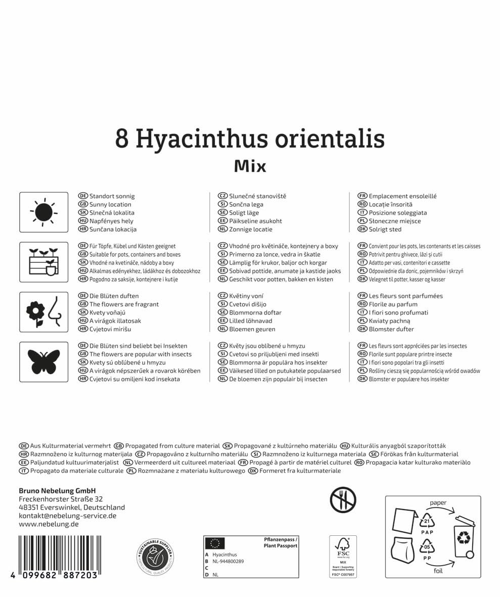 kiepenkerl-mega-pack-hyazinthen-mischung-blumenzwiebeln-duftend-20-cm image 2