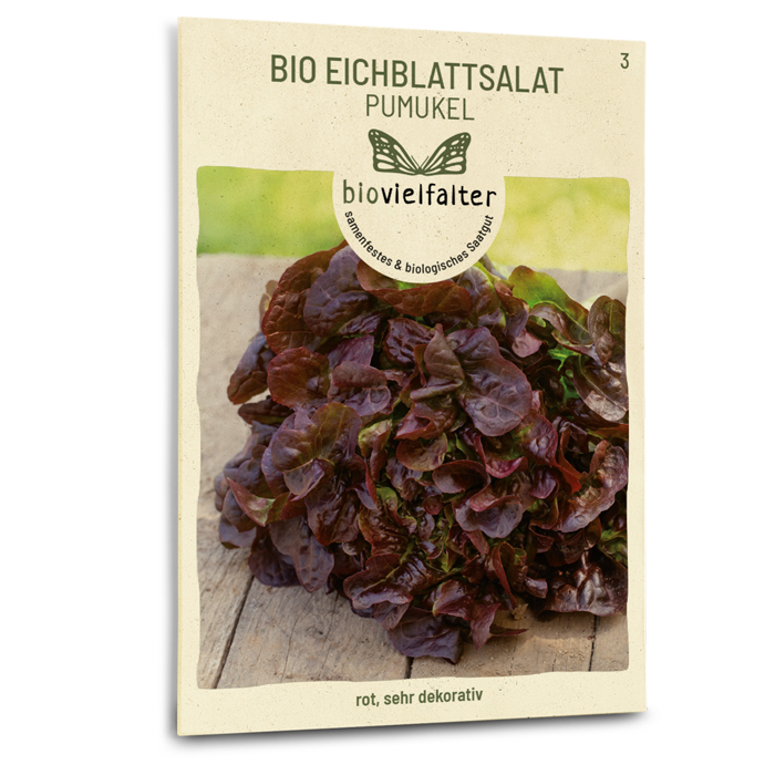samen-maier-bio-eichblattsalat-pumukel-bio-salatsamen-gr-n image 1