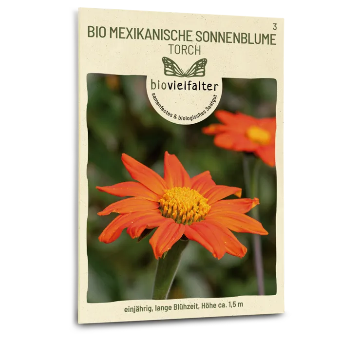 samen-maier-bio-mexikanische-sonnenblume-torch-blumensamen image 1