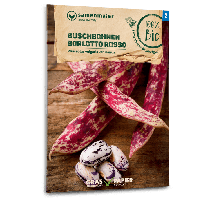 samen-maier-bio-buschbohnen-borlotto-rosso-saatgut image 1