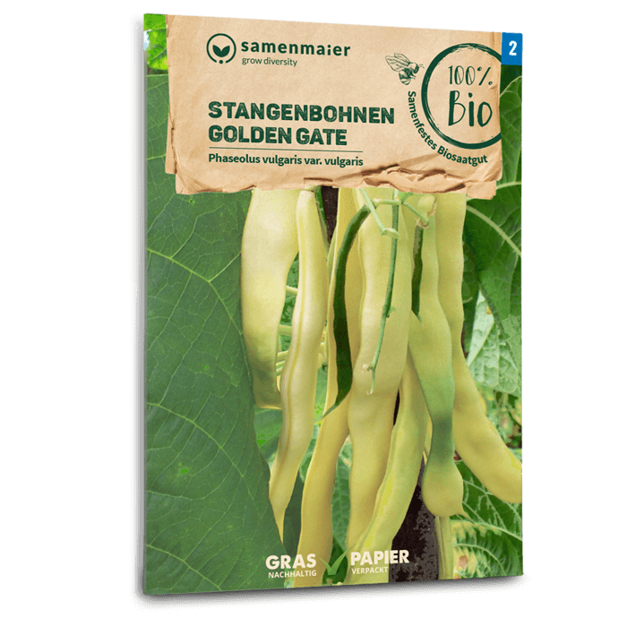 samen-maier-bio-stangenbohnen-golden-gate-bohnensamen image 1