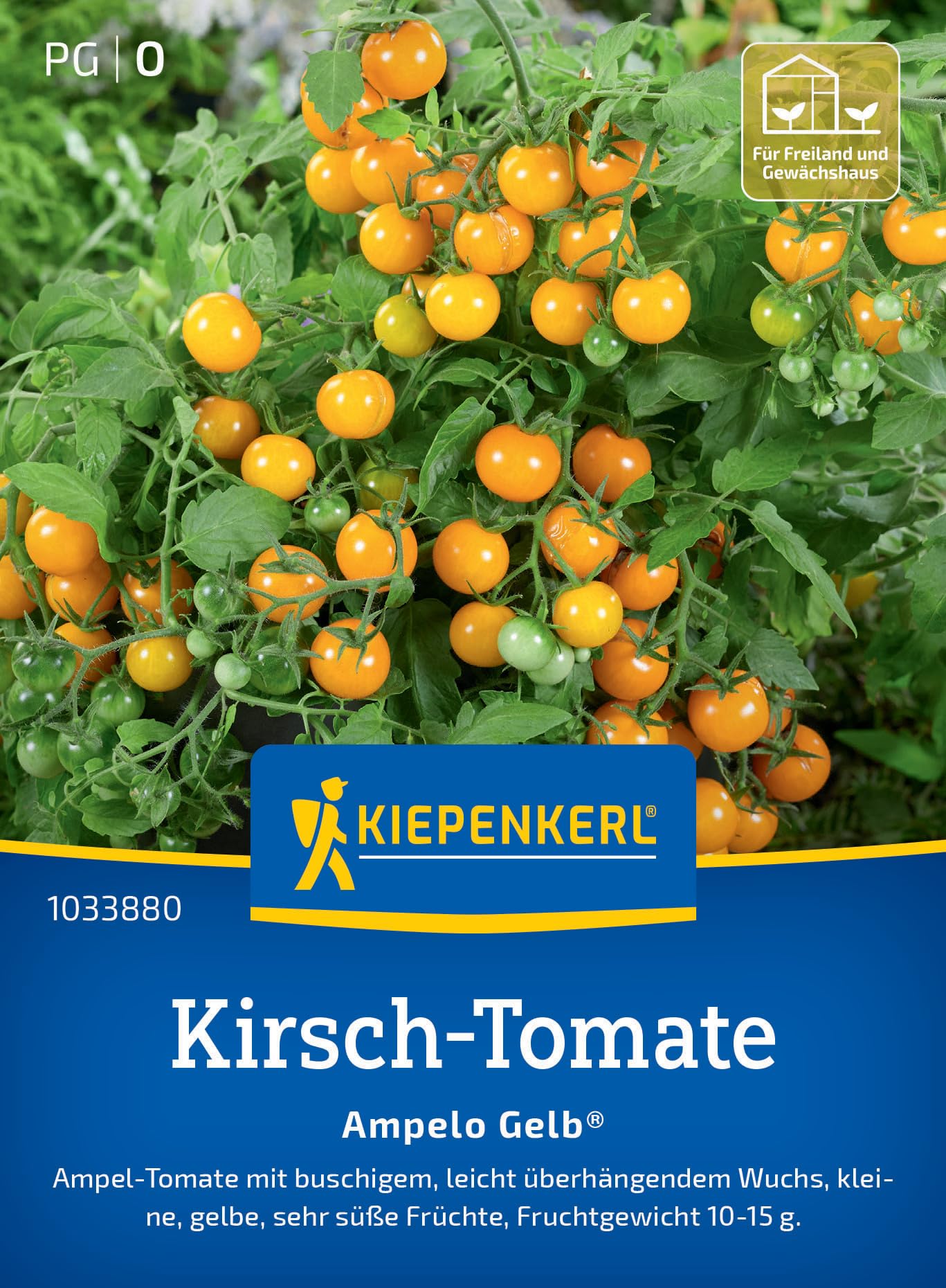 kiepenkerl-fleischtomate-ananas-tomatensamen image 8