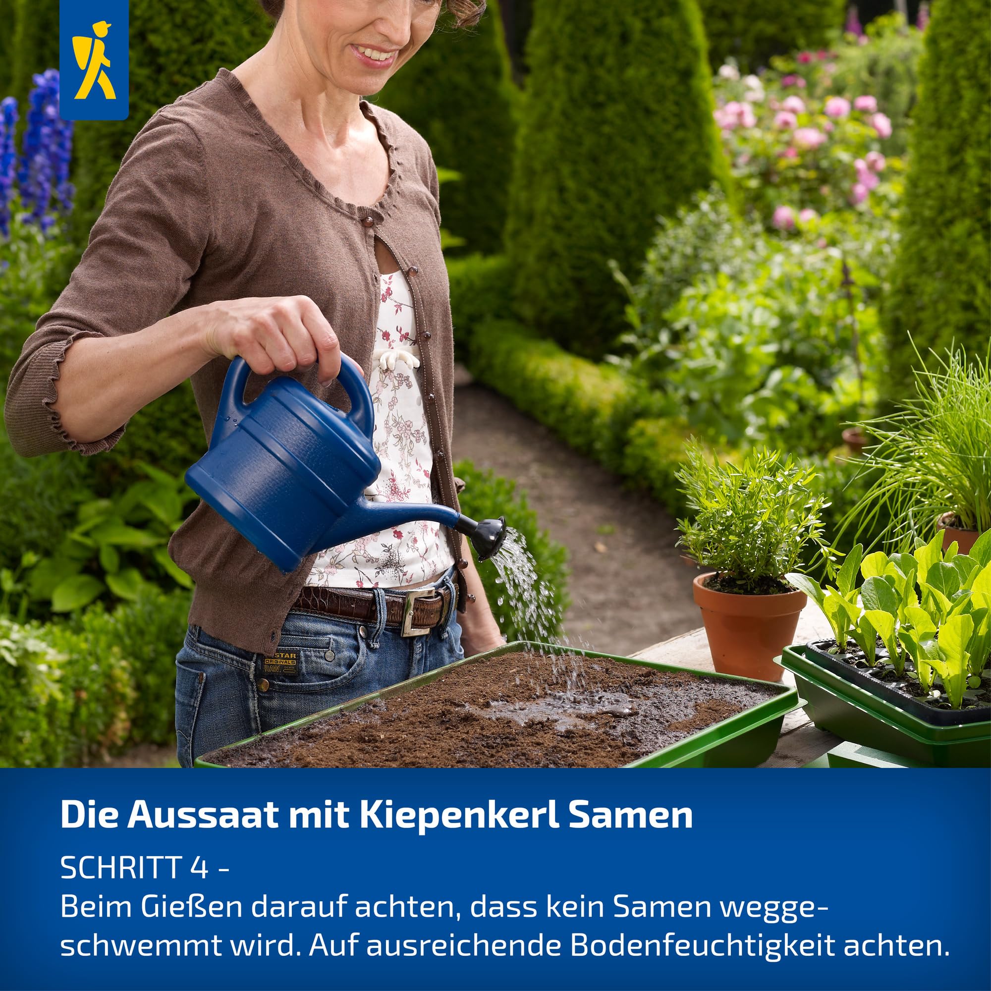 kiepenkerl-babyleaf-salat-vital-mischung-102277-salatsamen image 6