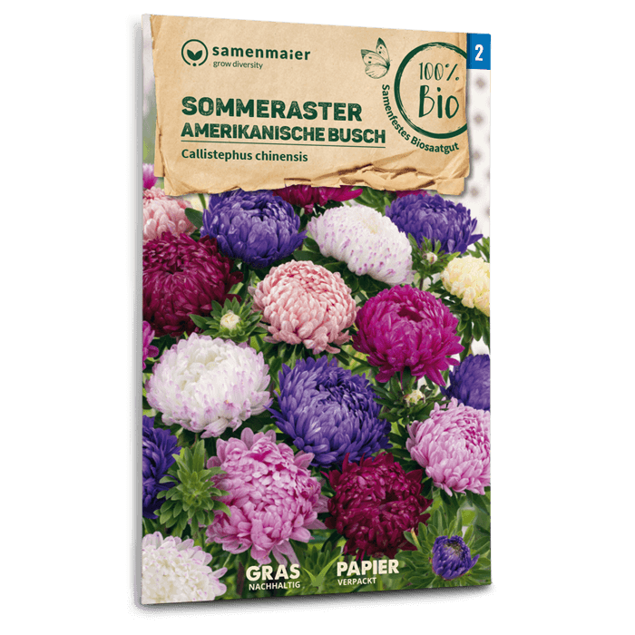 samen-maier-beet-box-f-r-einen-blumen-gru-5-sorten image 3