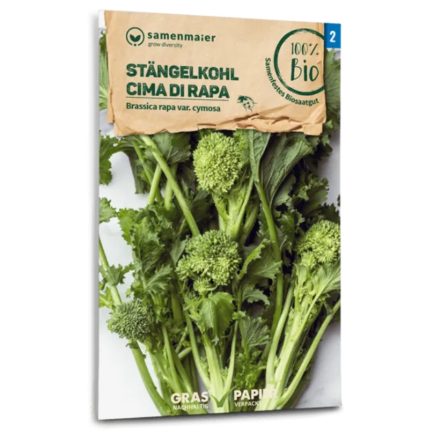 samen-maier-bio-st-ngelfohl-cima-di-rapa-gem-sesamen image 1