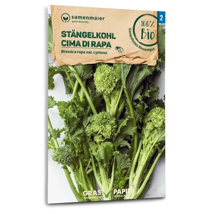 samen-maier-bio-st-ngelfohl-cima-di-rapa-gem-sesamen image 1