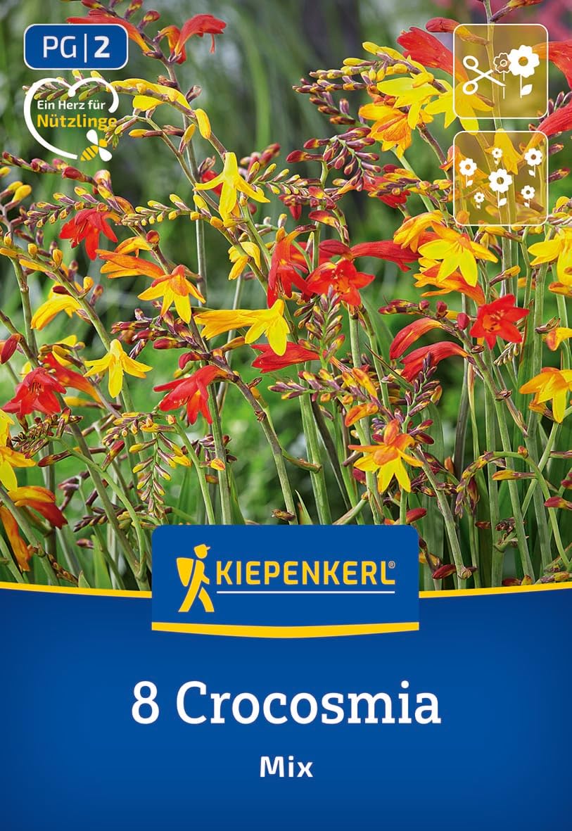 kiepenkerl-crocosmia-kleinblumige-mischung-3675010-blumenzwiebeln image 1