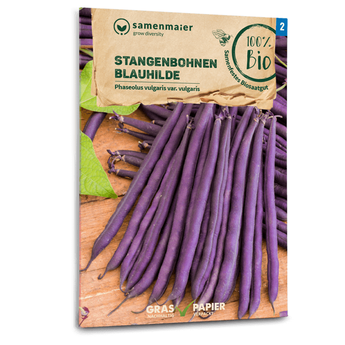 samen-maier-bio-stangenbohnen-blauhilde-bohnensamen image 1