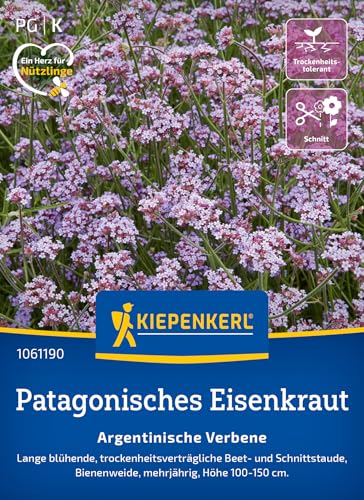 kiepenkerl-patagonische-eisenkraut-samen-argentinische-verbene-1061190 image 6