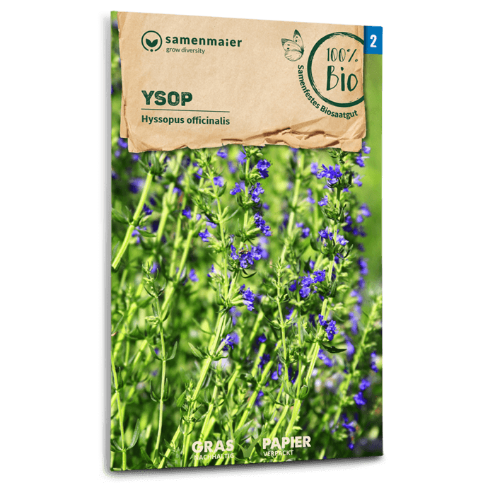 samen-maier-bio-ysop-kr-utersamen-blauviolett-bl-hend image 1