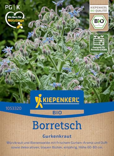 kiepenkerl-borretschsamen-gurkenkraut-1053320-kr-utersaat image 7