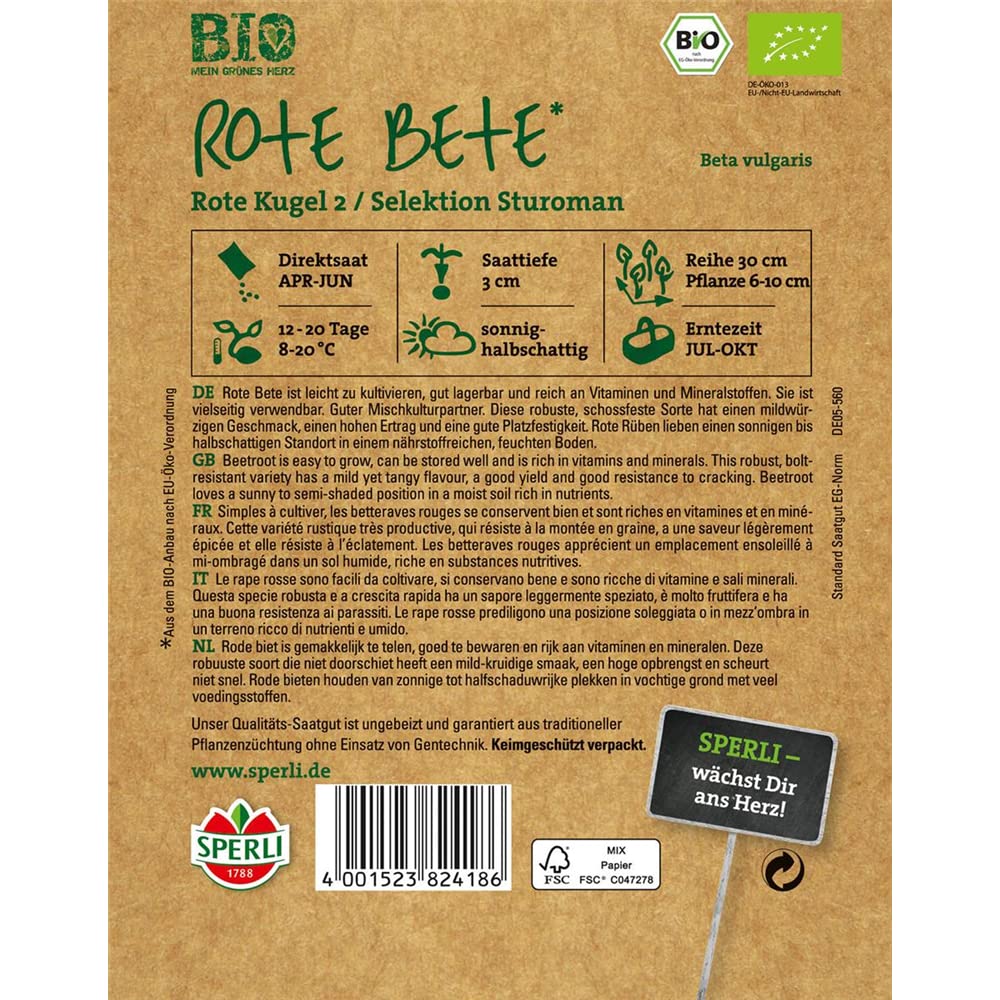sperli-bio-rote-beete-storuman-r-bensamen image 2
