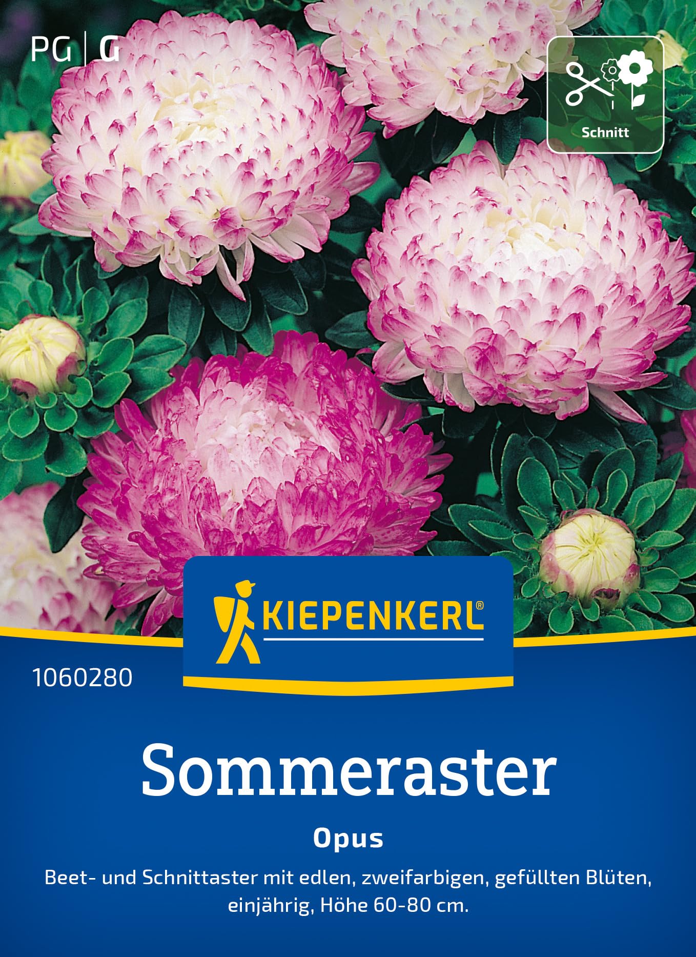 kiepenkerl-levkoje-mammut-excelsior-mischung-blumensamen image 8