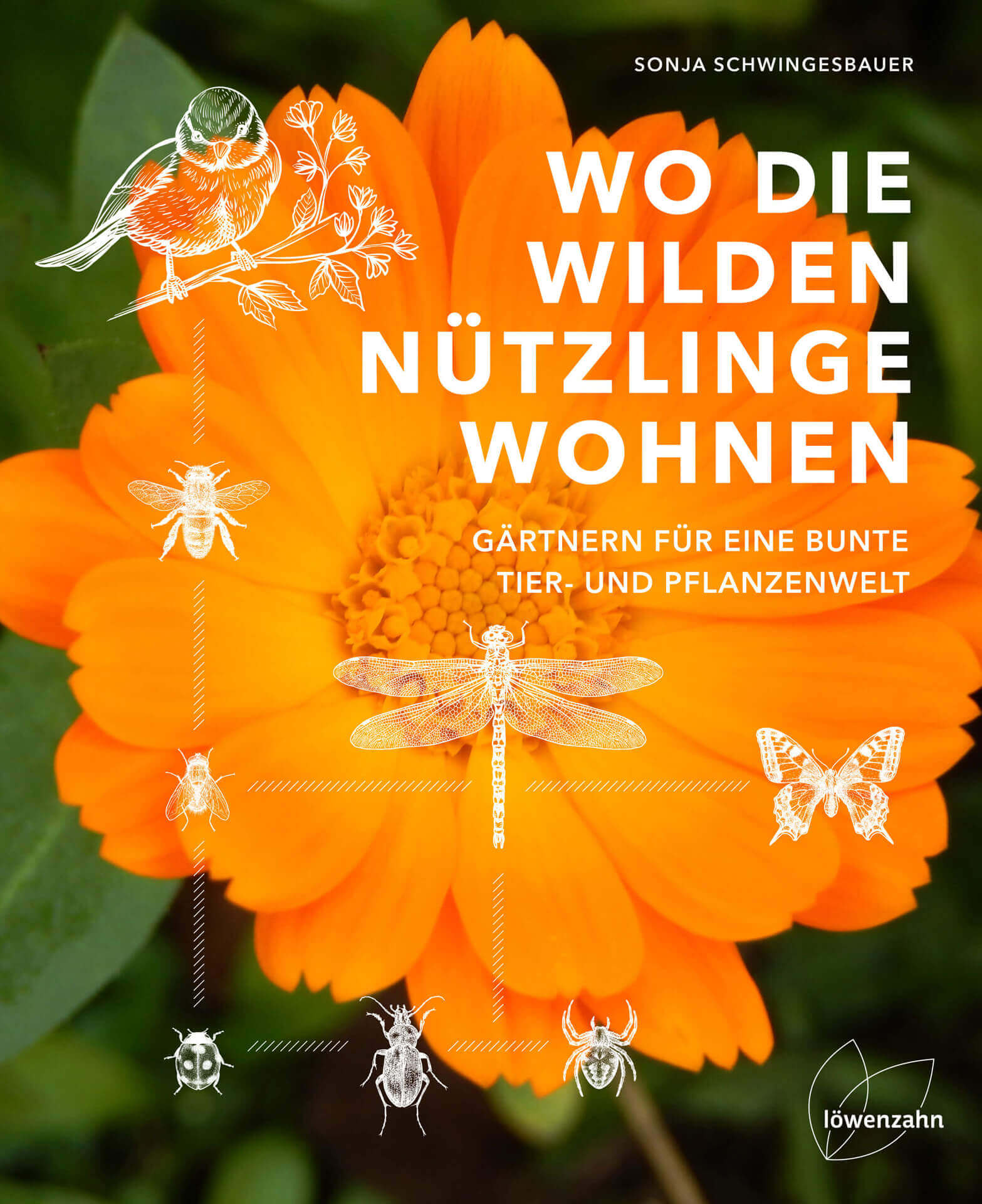 samen-maier-wo-die-wilden-n-tzlinge-wohnen-saatgut-set image 1