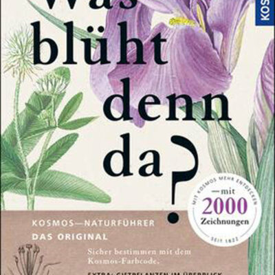 was-bl-ht-denn-da-pflanzenbestimmungsbuch-mit-870-arten image 2