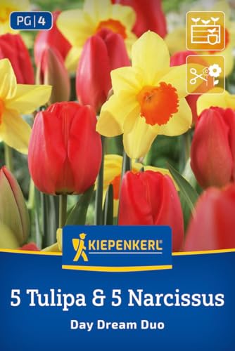 kiepenkerl-profi-line-day-dream-duo-tulpen-narzissen-mischung-blumenzwiebeln-35- image 8
