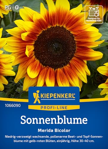 kiepenkerl-sonnenblumensamen-merida-bicolor-1066090-blumensaat image 7