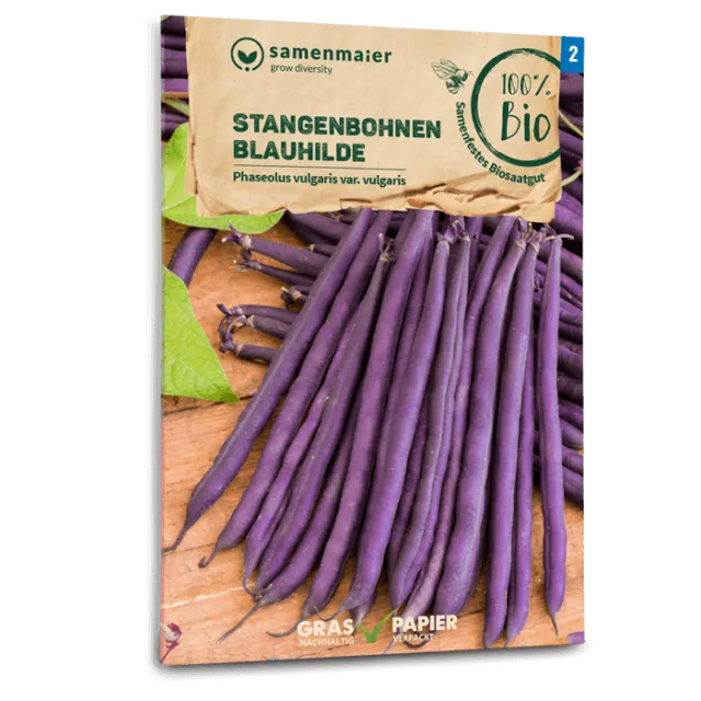 samen-maier-bio-stangenbohnen-blauhilde-bohnensamen image 1